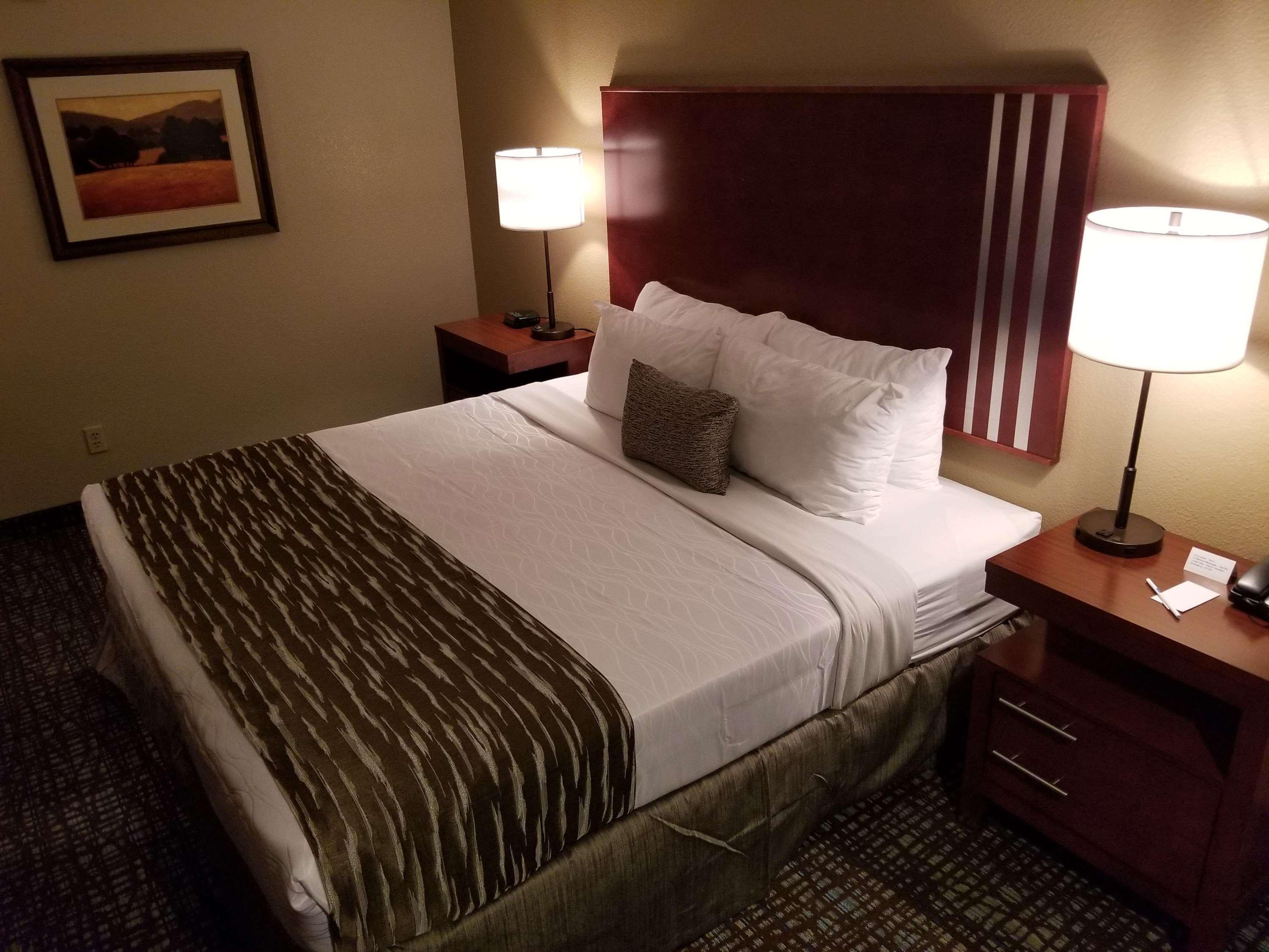 Best Western Plus Palm Court Hotel Davis Ngoại thất bức ảnh
